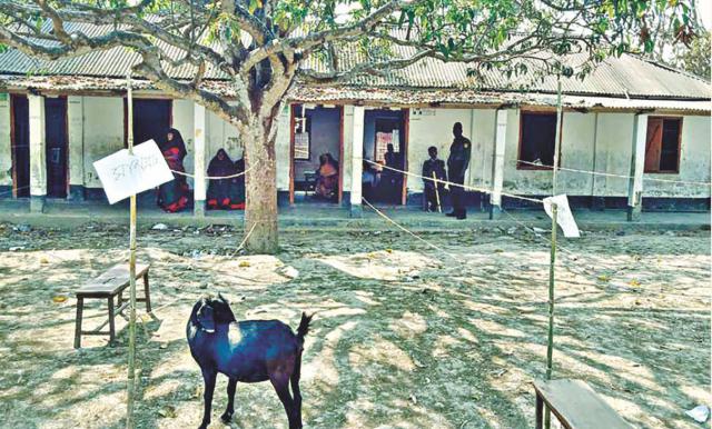 ছাগল আছে, ভোটার নেই