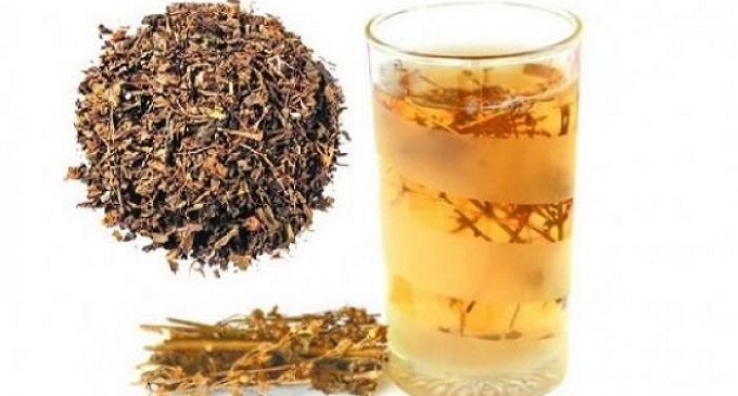 চিরতা শরীরের রোগ-প্রতিরোধ ক্ষমতা বাড়ায়