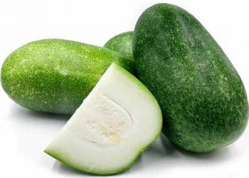 চাল কুমড়ো ধরে রাখবে যৌবন