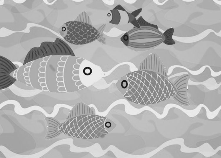 মাছের গল্প