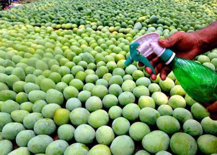 ভেজাল খাদ্য ও সচেতনতা