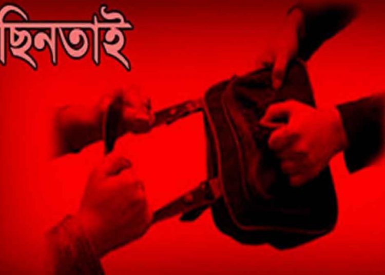 ছিনতাইকারীর হাতে শুধু ব্যাগ নয় প্রাণও গেল