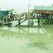 ঢাকামুখী যাত্রীর চাপ বেড়েছে, দৌলতদিয়া-পাটুরিয়া নৌরুটে উপচে পড়া ভিড়