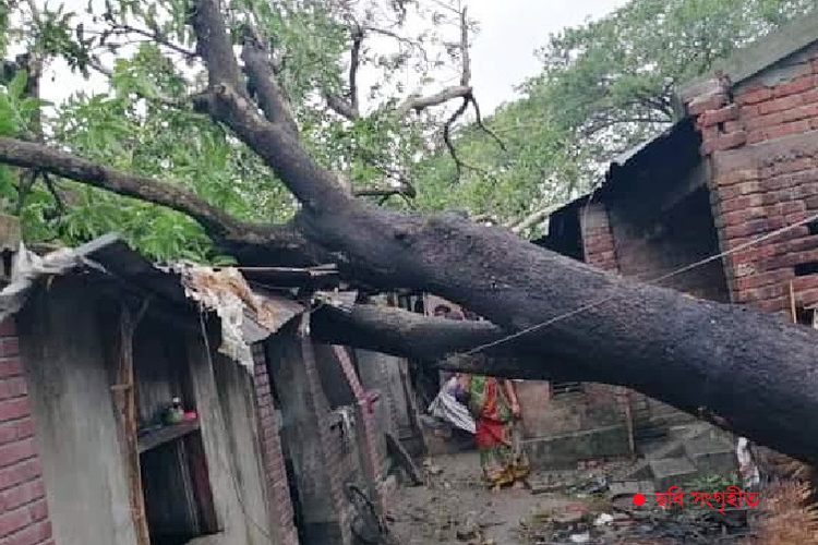 ঘূর্ণিঝড় আম্পানে প্রাথমিক ক্ষতি ১১ শ’ কোটি টাকা