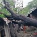 ঘূর্ণিঝড় আম্পানে প্রাথমিক ক্ষতি ১১ শ’ কোটি টাকা