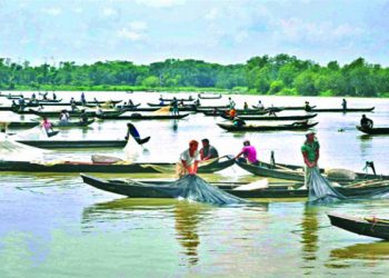 কয়েক বছরের মধ্যে ডলফিনশূন্য হতে পারে হালদা নদী