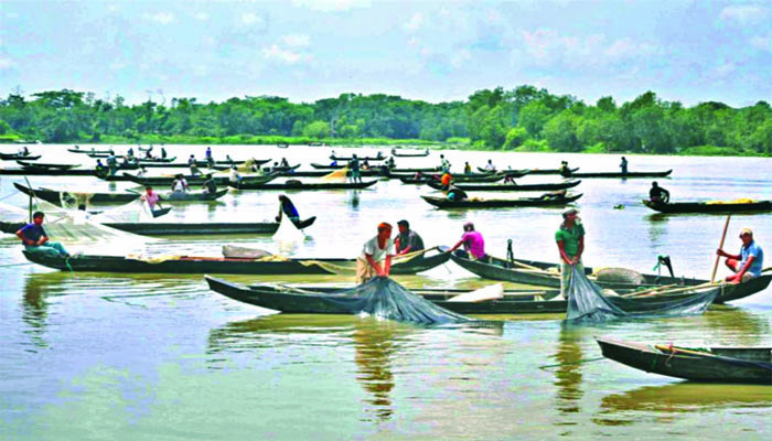 কয়েক বছরের মধ্যে ডলফিনশূন্য হতে পারে হালদা নদী