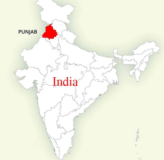 ভারতে ১৭৩ শিখ তীর্থযাত্রীর করোনা শনাক্ত