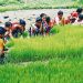 মহান মে দিবস আজ