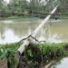 আম্পানে বিদ্যুতের ক্ষতি অন্তত ৭০ কোটি টাকা