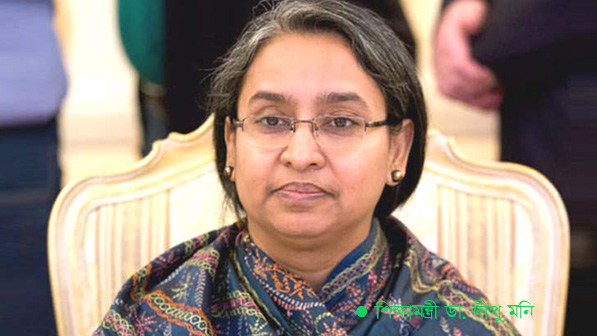 এইচএসসি পরীক্ষায় বিষয় কমানোর চিন্তা-ভাবনা চলছে’—ভার্চুয়াল অনুষ্ঠানে শিক্ষামন্ত্রী