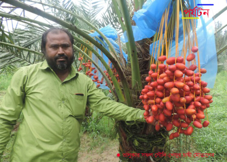 দেখে আসুন ভালুকা—সৈয়দ রশিদ আলম