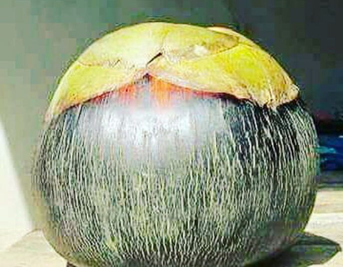 তাল