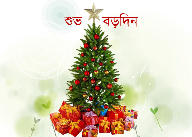 শুভ বড়দিন