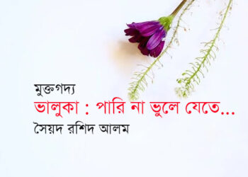 ভালুকা : পারি না ভুলে যেতে… — সৈয়দ রশিদ আলম
