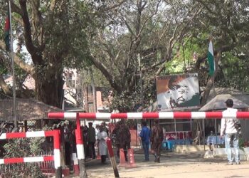 হিলি চেকপোস্ট দিয়ে ফিরছেন ভারতে আটকেপড়া বাংলাদেশিরা
