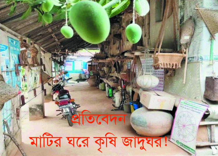 মাটির ঘরে কৃষি জাদুঘর!