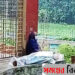 করোনায় মৃত স্বামীকে নিয়ে রাতভর শ্মশানে, সহায়তায় এগিয়ে আসলেন মুসলিমরা!