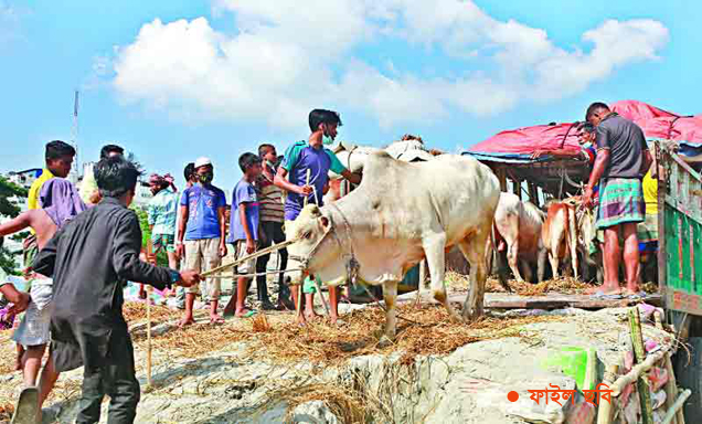স্বাস্থ্যঝুঁকি নিয়েই উত্তর সিটি কর্পোরেশনে অন্তত ৫ হাট