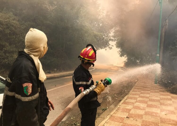 আলজেরিয়ায় দাবানলে সেনা সদস্যসহ অন্তত ৪২ জনের প্রাণহানী
