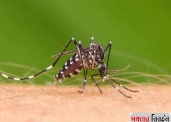 ২৪ ঘণ্টায় ২১০ ডেঙ্গু রোগী হাসপাতালে ভর্তি