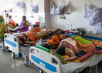 ডেঙ্গু ও উপসর্গ নিয়ে আরও ২৮৭ জন হাসপাতালে ভর্তি