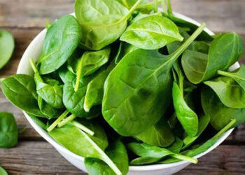 পালং শাকের পুষ্টিগুণ