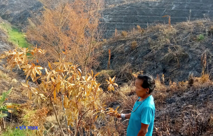 মতামত ► আদিবাসীদের প্রতি বিশেষ দৃষ্টি আবশ্যিক • মিথুশিলাক মুরমু