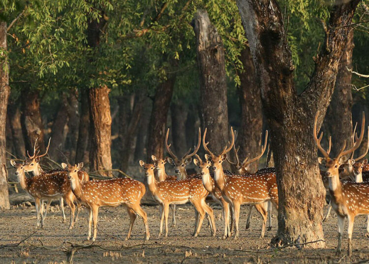 বর্ষায় ভ্রমণ