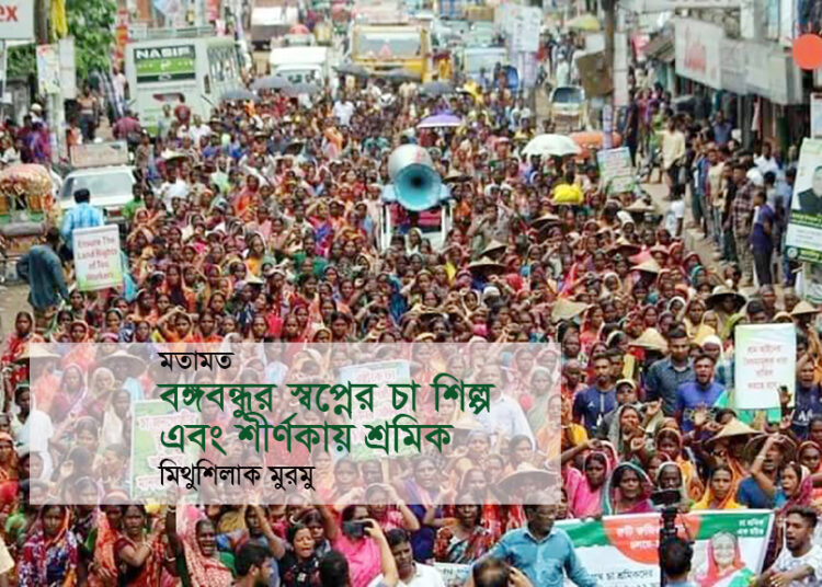 মতামত ►বঙ্গবন্ধুর স্বপ্নের চা শিল্প এবং শীর্ণকায় শ্রমিক • মিথুশিলাক মুরমু