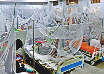 ডেঙ্গুতে একদিনে ৬ মৃত্যু, অক্টোবরে ৭৯ জনের প্রাণহানী