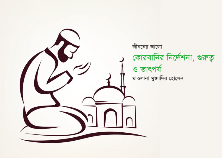 জীবনের আলো ● কোরবানির নির্দেশনা, গুরুত্ব ও তাৎপর্য ► মাওলানা মুক্তাদির হোসেন