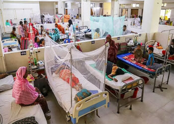 ডেঙ্গুতে আরও পাঁচ জনের প্রাণহানী