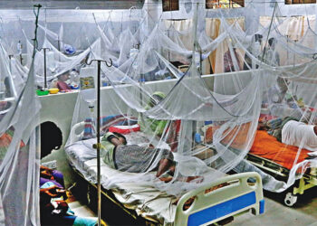 ডেঙ্গুতে গত ২৪ ঘণ্টায় আরও ১৪ মৃত্যু