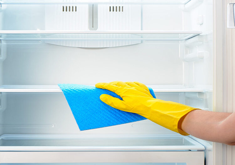 ঘর-গৃহস্থালি ● রেফ্রিজারেটরের পরিষ্কার-পরিচ্ছন্নতা ও মাংস সংরক্ষণ