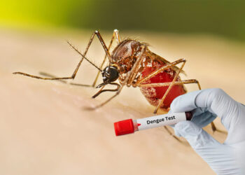 ডেঙ্গুতে একদিনে ৪ জনের প্রাণহানী