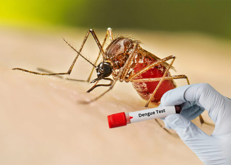 ডেঙ্গুতে একদিনে ৪ জনের প্রাণহানী