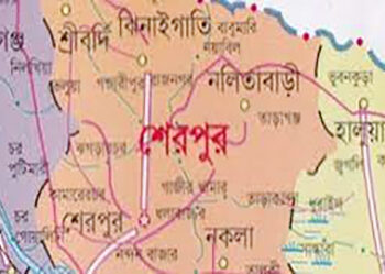 শেরপুরে অটোরিকশা ও মোটরসাইকেলে মাইক্রোবাসের ধাক্কা, ২ জনের প্রাণহানী