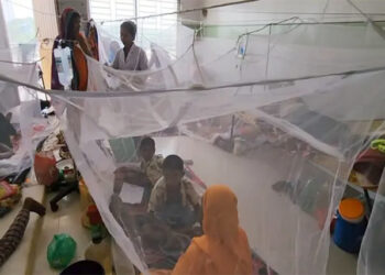 বরগুনায় ডেঙ্গু আক্রান্তের সংখ্যা ৪ হাজার অতিক্রম