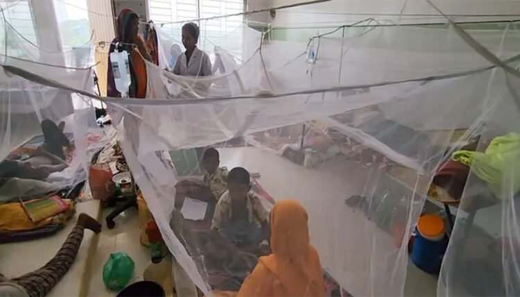 বরগুনায় ডেঙ্গু আক্রান্তের সংখ্যা ৪ হাজার অতিক্রম