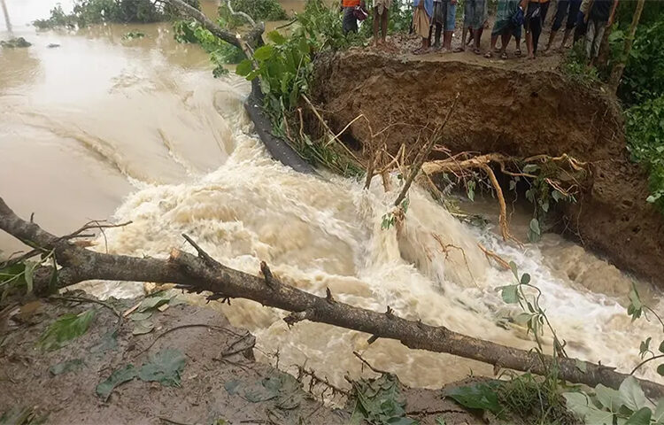 ফেনীতে বেড়িবাঁধ ভেঙে অন্তত ২৫ গ্রাম প্লাবিত