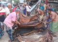 আগের বকেয়া পরিশোধ ছাড়াই ঋণ পাবেন চামড়া ব্যবসায়ীরা